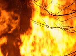 38 пожаров потушили за сутки в Алтайском крае