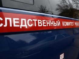 Следком начал проверку по факту обнаружения в Новоалтайске останков девочки