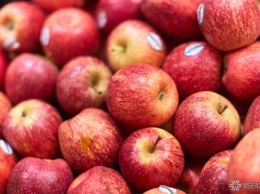 Нутрициолог раскрыла россиянам вред яблок