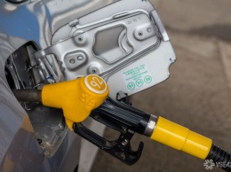 Советник офиса Зеленского заявил о проблемах с бензином в Украине