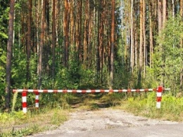 Запрет на посещение крымских лесов продлен до 23 июня