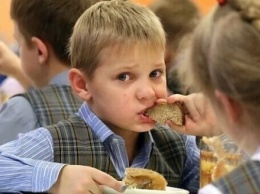 Сенаторам поступило свыше 3 000 жалоб на питание в региональных школах