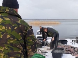 СОБР и рыбоохрана изъяли у браконьеров в Калининградском заливе 400 кг рыбы
