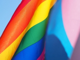 Милонов предложил запретить TikTok в РФ из-за ЛГБТ-пропаганды
