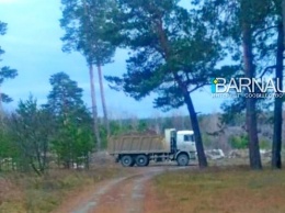 Барнаульцы сняли на видео КАМАЗ, который привез мусор в ленточный бор