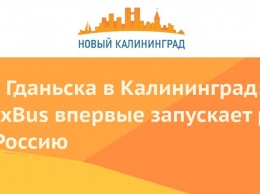 Из Гданьска в Калининград: FlixBus впервые запускает рейсы в Россию
