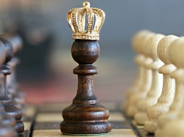 Шахматная гвардия Алтайского края сразилась в нескольких важных турнирах