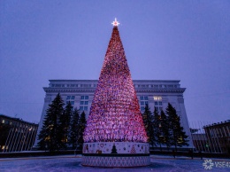 СМИ: власти Кемерова купили "дорогую" елку по цене ниже рыночной
