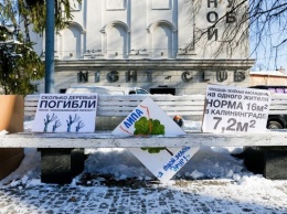 Фирму оштрафовали за незаконную пересадку 23 сосен в Калининграде. Деревья погибли
