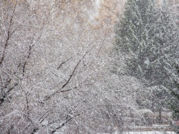 Сильные снегопады задержатся в Кузбассе