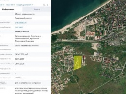 Власти Зеленоградска сдают в аренду участок в Малиновке под многоквартирную застройку