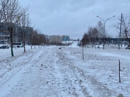 Снегоуборочная техника уничтожила часть саженцев в Прокопьевске