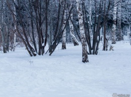 Температура в Кемерове упадет в воскресенье до -31°С