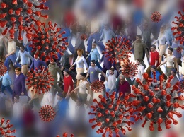 ВОЗ: в мире замедлилось распространение коронавируса