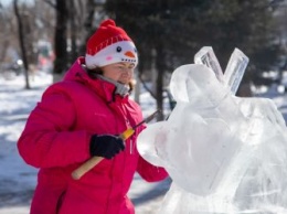 Журавли и инопланетяне: в Благовещенске прошел конкурс ледовых скульптур
