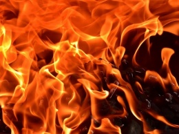 Жительница Алтайского края пыталась спалить постройки соседей