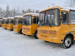 В Карелии начались проверки школьных автобусов, и сразу выявились нарушения