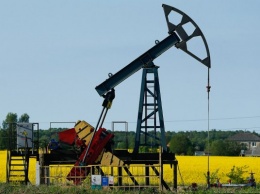 В МВФ считают, что РФ сможет долго выдерживать низкие цены на нефть