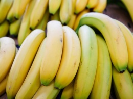 «Коммерсант»: в Россию снизились поставки бананов, цены на них выросли