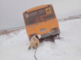 Школьный автобус застрял в снегу в Михайловском районе