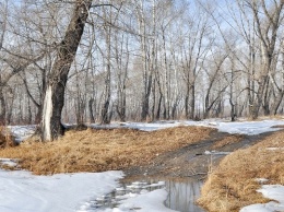 Весна начинается. В Алтайском крае ожидается потепление