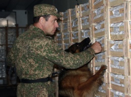 Какую контрабанду обнаружили служебные собаки за год на алтайской таможне