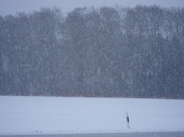 Водитель снегоуборочного грейдера пропал в метель на Сахалине