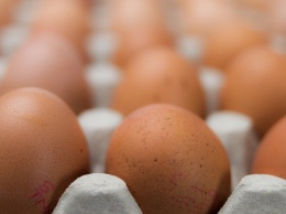 Почему в России начался рост цен на яйца и курицу