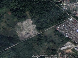 В парковой зоне Калининграда нашли незаконную свалку размером с два футбольных поля