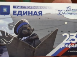 Власти Калининграда предлагают дарить на 23 февраля и 8 марта транспортные карты
