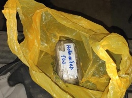 На Алтае задержали двух иностранцев, собирающихся распространять наркотики