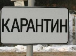 Карантин объявили в одном из районов Калужской области