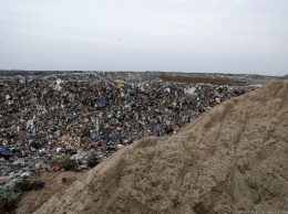 Власти оценили годовой рост объемов мусора в области в 9%
