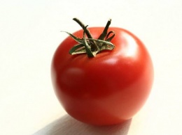 Россельхознадзор запретил ввоз в Россию сенегальских томатов