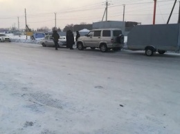 Полиция в Кузбассе поймала браконьера с тушей лося на дороге