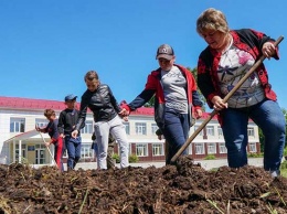Алтайские школьники возрождают кедровые леса на Салаирском кряже