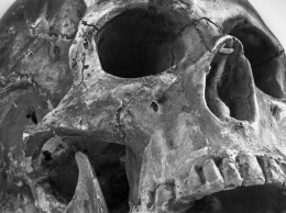 Человеческие зубы помогли ученым сделать открытие о древней пандемии в Сибири
