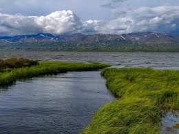 Ученые посчитали, сколько лет алтайскому озеру