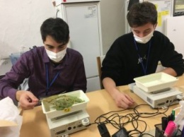 Амурский студент осваивает в Японии технологии фабрик растений