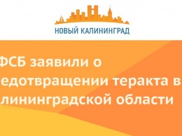 В ФСБ заявили о предотвращении теракта в Калининградской области