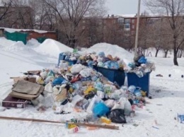 "В каждом дворе": кузбассовец возмутился скопившейся мусорной свалке