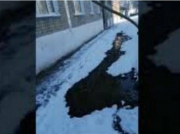 «Полные ванны канализации»: в Шахтах третью неделю топит переулок Студенческий