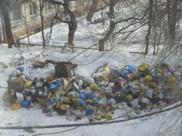 В Бийске во дворе многоквартирного дома вырос «недоступный» для коммунальщиков мусорный полигон