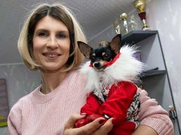 Жительница Барнаула 13 лет шьет наряды для модниц-собак, а клиенты не перестают удивлять