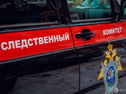 Приморский СК завел уголовное дело после смерти троих детей в утонувшей машине