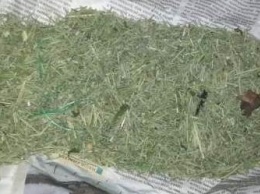 В Калуге у мужчины нашли 800 грамм марихуаны