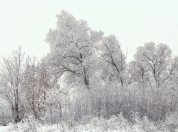 ГЖИ оценила качество уборки снега в муниципалитетах Кузбасса