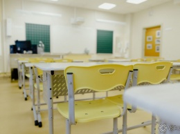 Учительница на Алтае вытащила 10-летнюю школьницу к доске за волосы