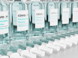 Сертификаты вакцинации от COVID-19 для поездок за границу появятся в России