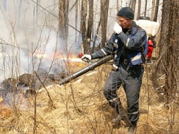 Пожароопасный сезон на юге Приамурья планируют открыть 23 марта